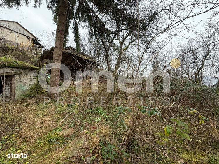 Casa renovabila, cu 6 ari de teren, zona linistita, Baia Sprie - 4