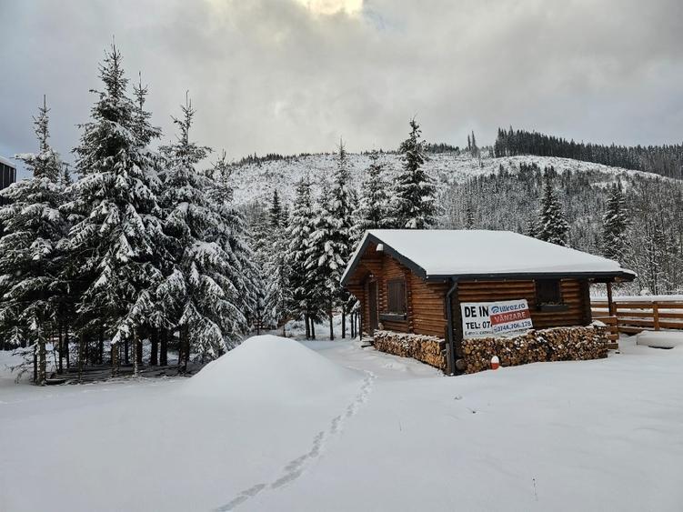 1140mp si cabana Obarsia Lotrului Transalplina 3km partia ski, TOATE UTILITATILE - 7