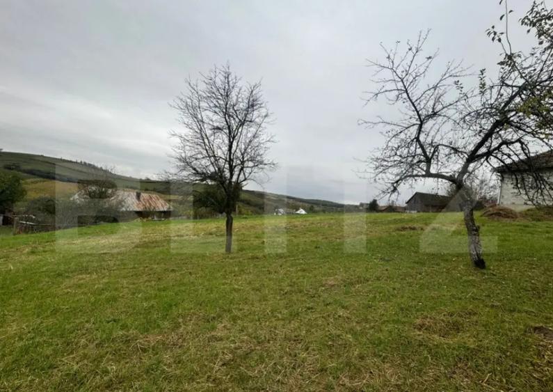 Casa individuala, 3300 mp teren, zona Sintereag - 17