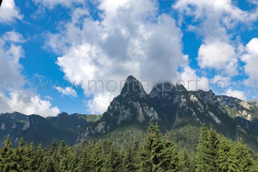 Apartament cu 2 camere decomandat în Sud-Vest - 5