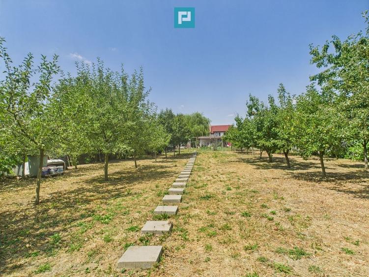 Teren edificabil 1106 mp – Dumbrăvița - 3