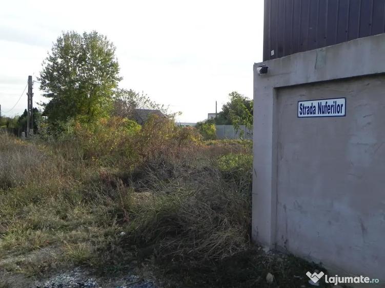 Teren intravilan -pozitie deosebita-langa padure-Domnesti-Teghes 518mp - 8