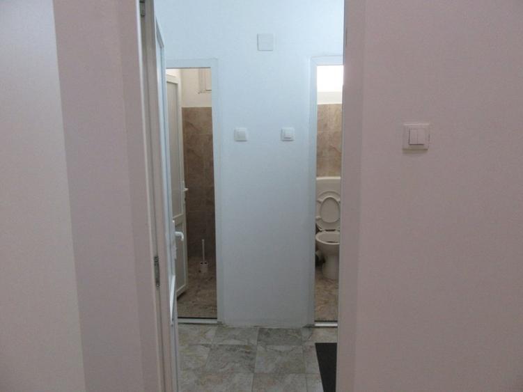 Inchiriere Spatiu Comercial Teiul Doamnei - 34