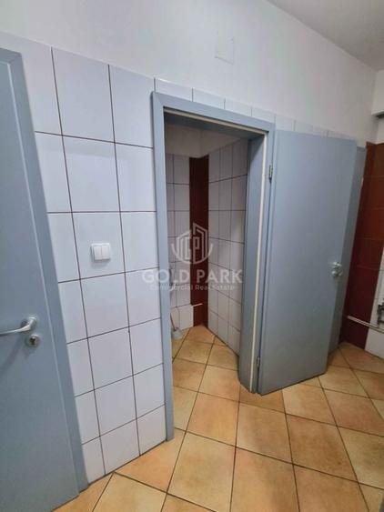 Complex Industrial - Zona Autostrazii A3 - PRELUARE CHIRIASI - 31