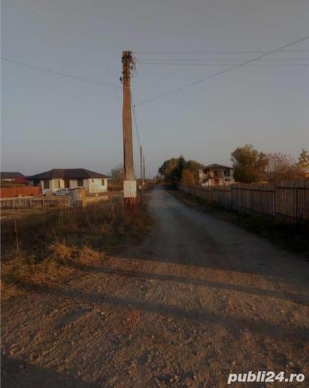 Loturi de teren Darasti-Ilfov - 3