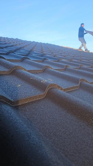 Casa de vanzare, Com. PLOPU, la padure - 2