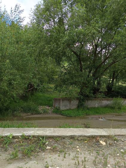 Teren intravilan - 1