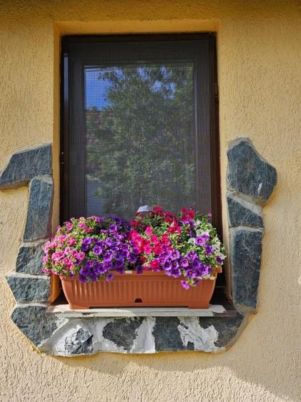 Vand casa 3 camere ARIUSD - 16