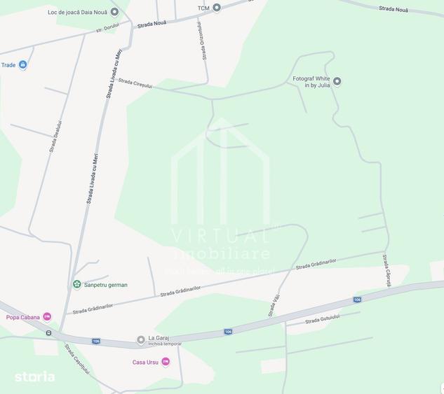 Teren intravilan de constructii - 250 mp - Daia Noua - 1