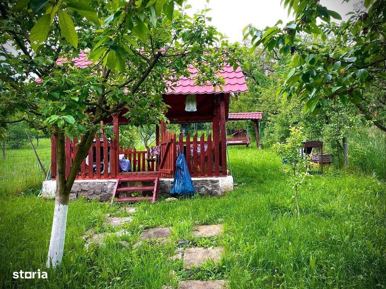 Casa 2 camere de inchiriat cu gradina, cartier Dambul Rotund - 8