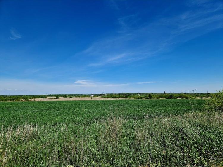 Teren intravilan 5000 mp, str.Sondei, Peris - 3