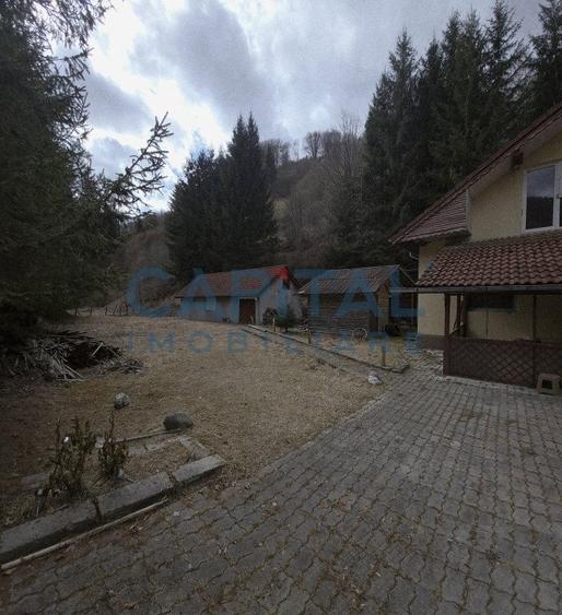 Cabana la munte Rucar / Satic - 4