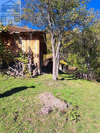 Teren extravilan in localitatea Bulz - 10