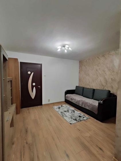 Inchiriez Garsoniera Lapus (Mall Eloctroputere) - 1