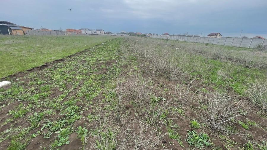 REL4001112 Teren I De Vanzare I Clinceni - 6