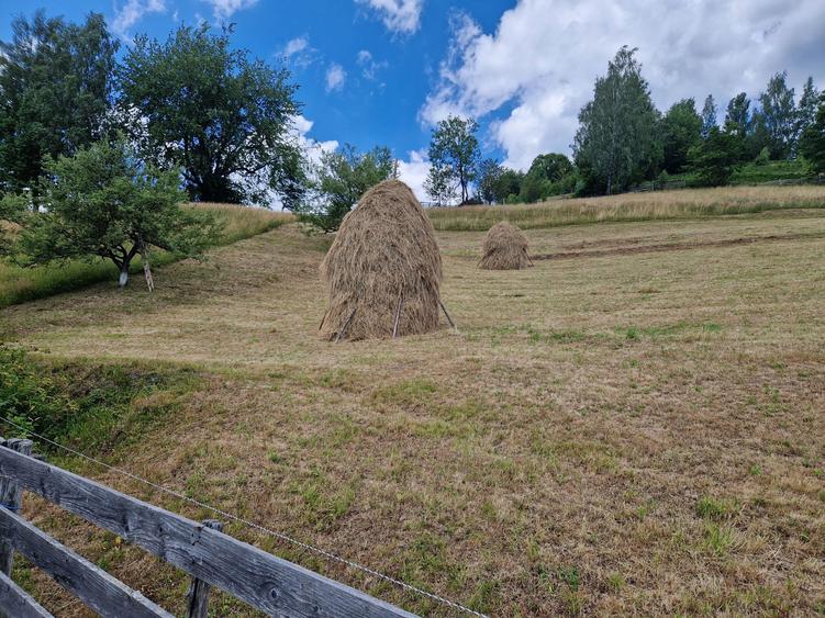 Casa de vinzare Horea - 6