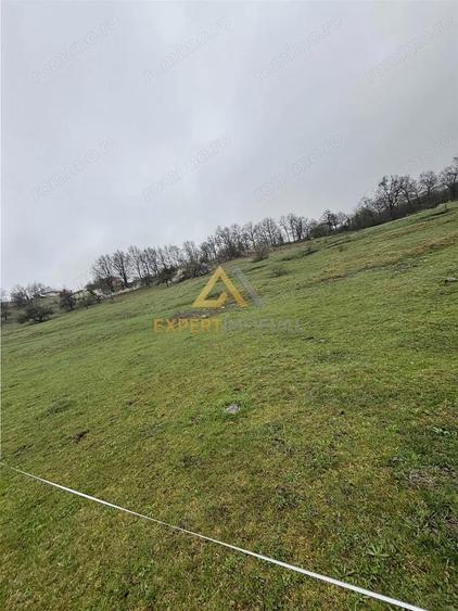 Teren intravilan de vanzare - 2