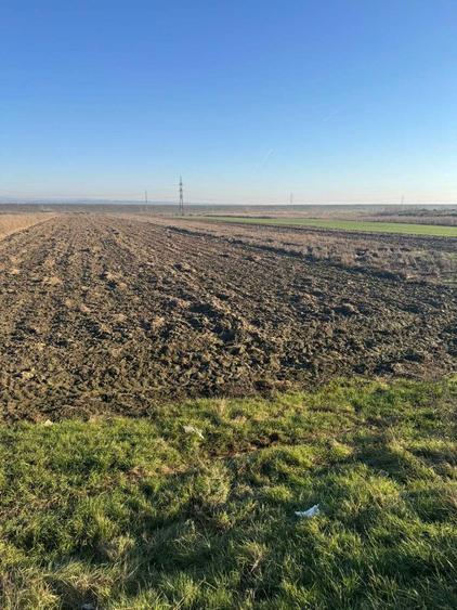 Teren de vanzare 5000 mp, Valea Mare, Babeni DN64 - 1