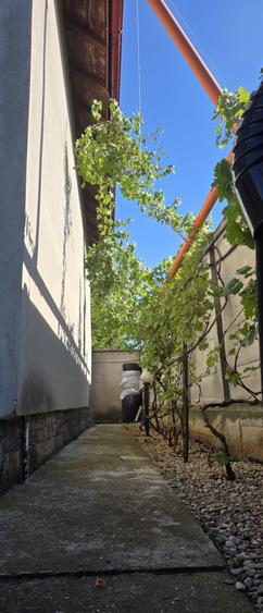 Vila de vanzare cu teren generos zona Ciolpani - 51