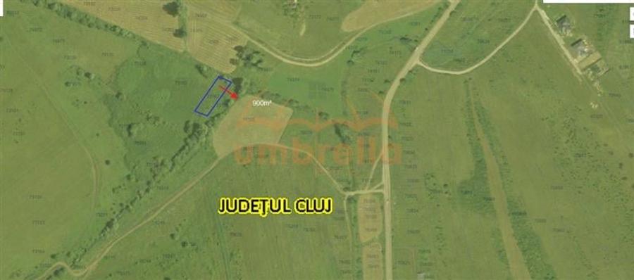 Teren de vanzare extravilan Chinteni 5.200/?/32 /? - 5