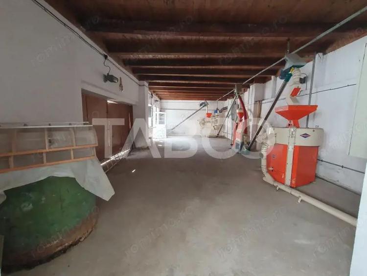Moara + casa de locuit 375 mp utili 7350 mp teren intravilan - 5