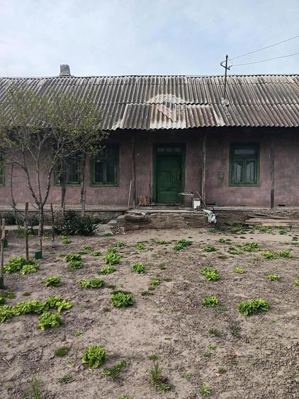 Buna ziua ! Vand casa in comuna ,Dunavat de Sus ,Tulcea ! - 1