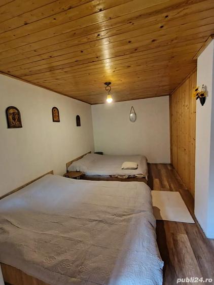 vand cabana la Rimetea,Alba - 3