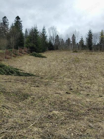 Teren intravilan situat in Predeal - 4
