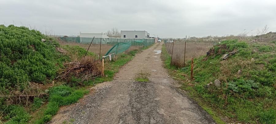 Vanzare teren 7500 mp la sosea pe str Gladiolelor Prelungirea Ghencea Sect 5 - 2