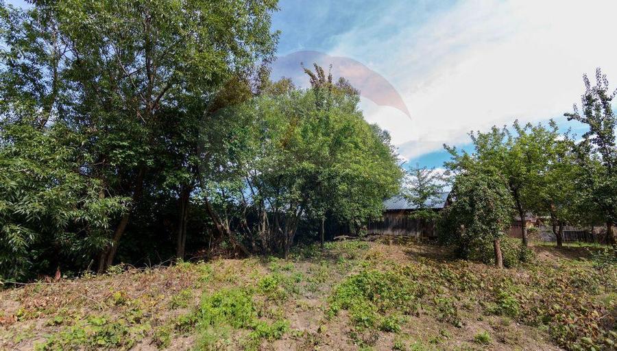 Teren intravilan cu funda?ie, proiect de casa, Avram Ian... - 8