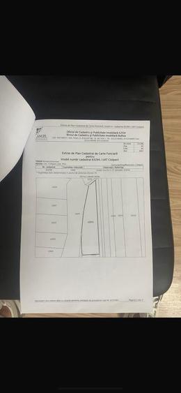 Ciolpani - Silistea Snagov - 3