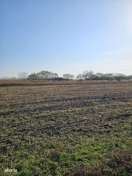 Teren extravilan pentru balastiera Biharia - 6