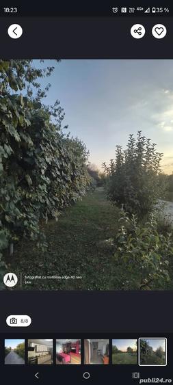 Casa Cu 3000 MP Teren - 5