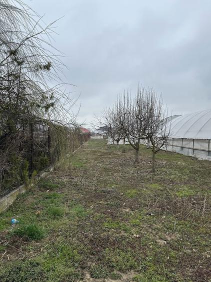 Vand casa+teren in Izbiceni Olt - 5