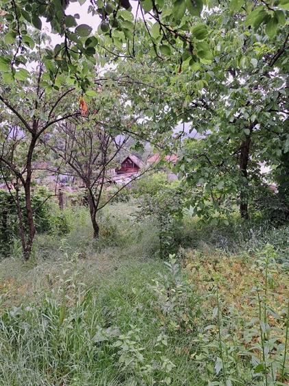 Casa batraneasca 15000 euro - 10