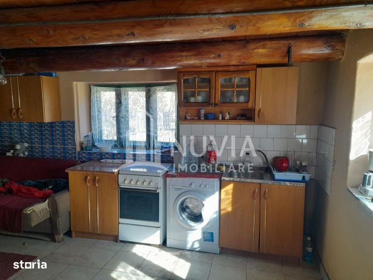 Corp de 2 case individuale, zona Intregalde, 130mp utili si 1035 mp te - 3