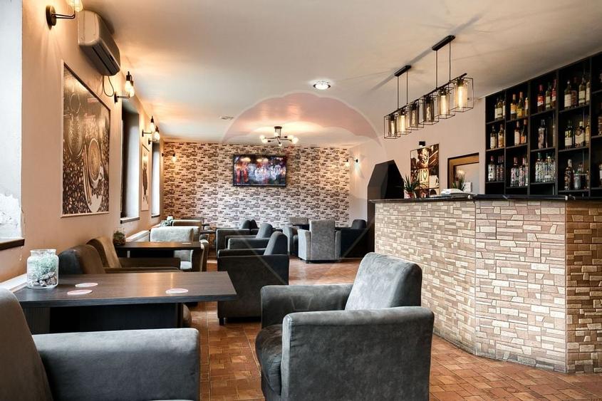 Spatiu comercial cu destinatie actuala Bar si jocuri noroc- Vlaicu - 6
