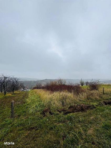 Teren Intravilan 2149 mp strada Sofiei - 1