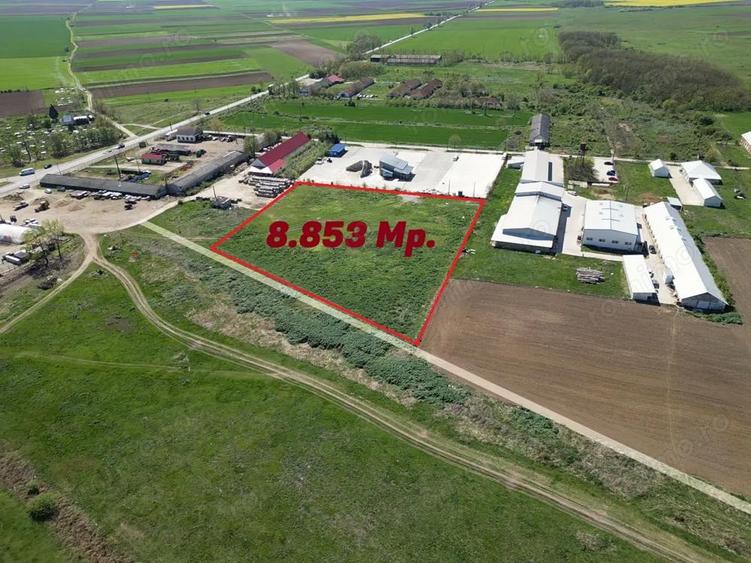 8853 mp. Teren imprejmuit - Salard - 1