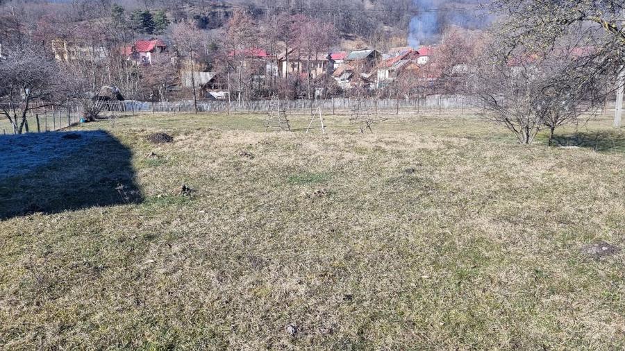 Teren intravilan  - 5