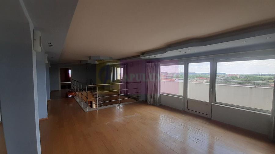 Două Etaje în Vilă în zona Voluntari de Închiriat - 19