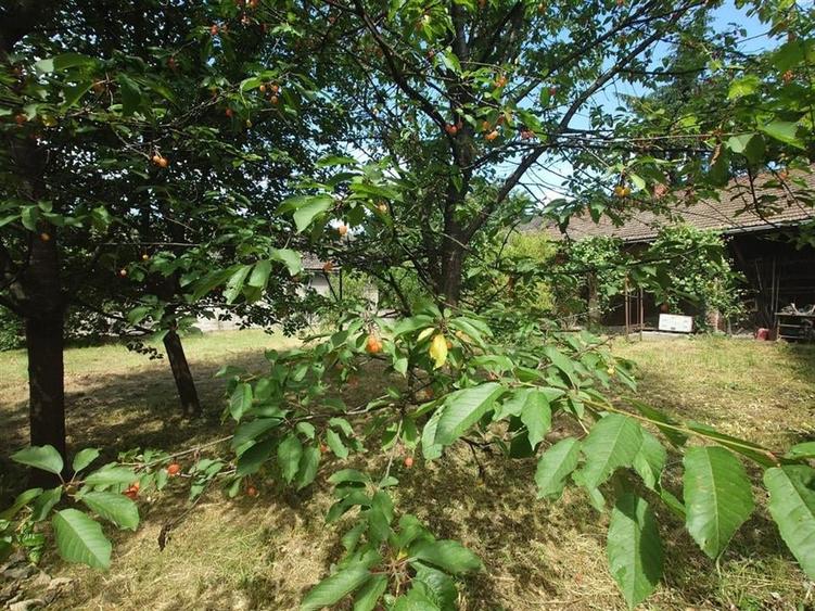 Casa, anexe si teren amplasate central in municipiul Brad - 13