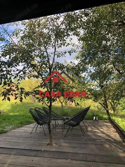 Teren extravilan in Brebu(Pietriceaua)--9104mp--50.000e - 9