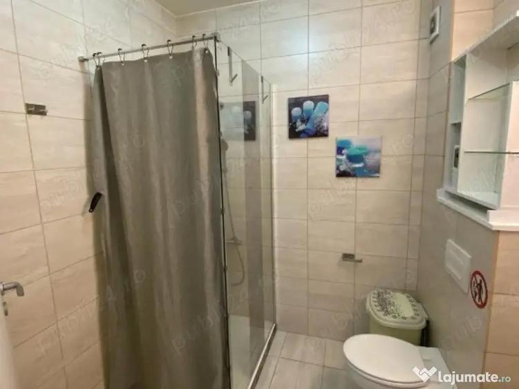 Berceni metrou biruintei 35h parter - 5