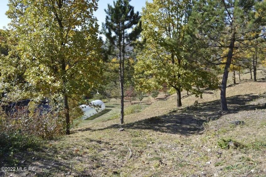 Topoloveni - Conacul Ion Mihalache, Domeniu pe 5 Hectare! - 54