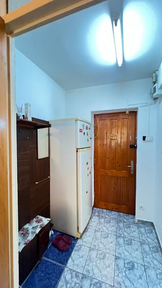 Garsoniera Dristor, 12 minute de metrou, stradal, mobilata si utilata complet - 22