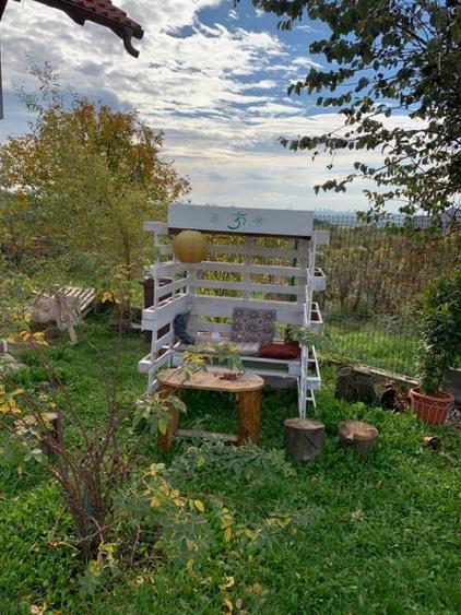 (120) Vilă cu stil lângă Pitești - 2