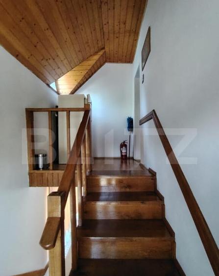 Casa de vacanta cocheta in Sovata Bai - 1