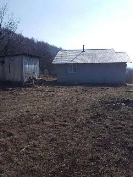 Teren de vinzare. In satul Rusavatul. - 5