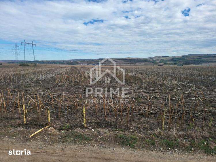 Teren de 8300 mp, în Central